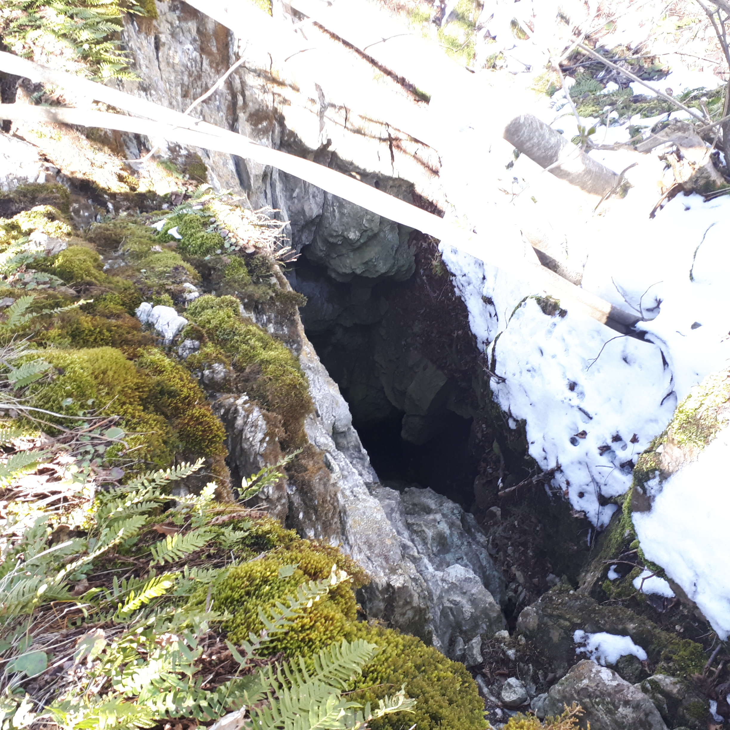 Avenul din Cioaca Mare (Peştera cu Trepţi) - Image 1